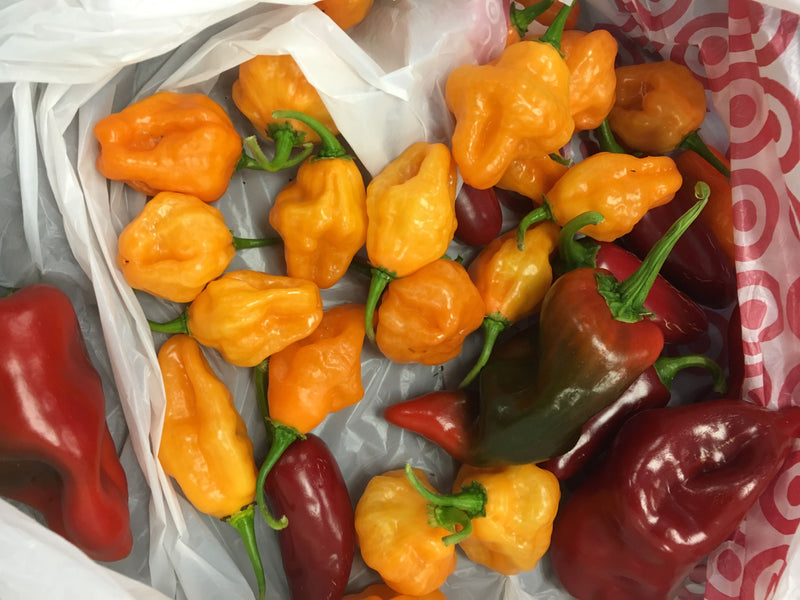 Drunken' Habanero Hot Sauce by Smokin' Grill | Hottest Hot Sauce Ever